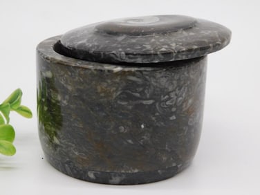 ORTHOCERAS TRINKET BOX ROCK STONE LAPIDARY SPECIMEN