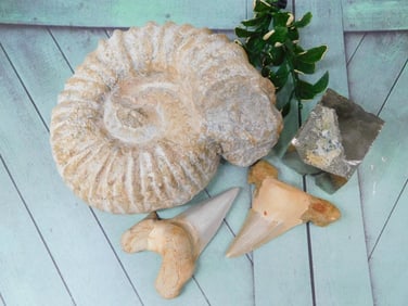 MIXED LOT ROCK STONE LAPIDARY SPECIMEN