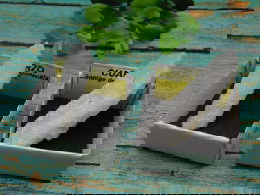 CUARZO ROCK STONE LAPIDARY SPECIMEN