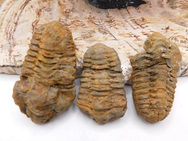 JEWELRY SALE! ROCK STONE LAPIDARY SPECIMEN