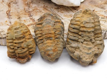 JEWELRY SALE! ROCK STONE LAPIDARY SPECIMEN