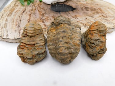 JEWELRY SALE! ROCK STONE LAPIDARY SPECIMEN