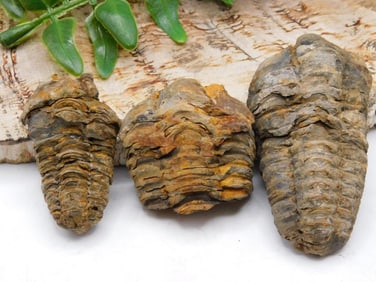 JEWELRY SALE! ROCK STONE LAPIDARY SPECIMEN