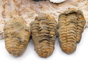 JEWELRY SALE! ROCK STONE LAPIDARY SPECIMEN