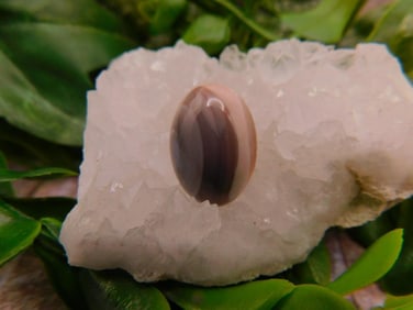 JEWELRY SALE! ROCK STONE LAPIDARY SPECIMEN