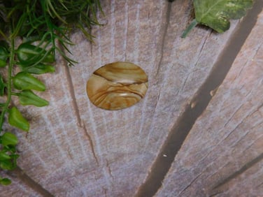 JEWELRY SALE! ROCK STONE LAPIDARY SPECIMEN