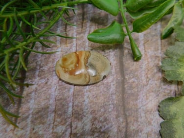 JEWELRY SALE! ROCK STONE LAPIDARY SPECIMEN