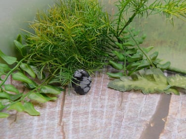 JEWELRY SALE! ROCK STONE LAPIDARY SPECIMEN