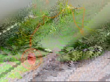 JEWELRY SALE! ROCK STONE LAPIDARY SPECIMEN