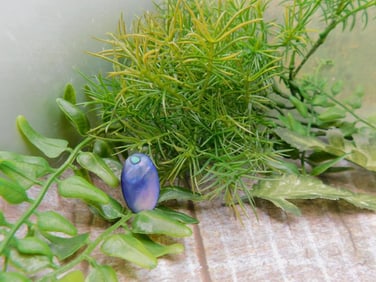 JEWELRY SALE! ROCK STONE LAPIDARY SPECIMEN