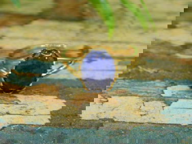 JEWELRY SALE! ROCK STONE LAPIDARY SPECIMEN