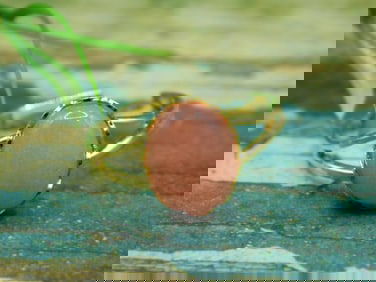 JEWELRY SALE! ROCK STONE LAPIDARY SPECIMEN