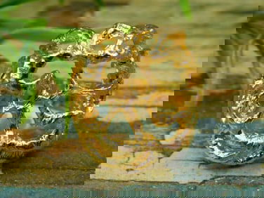 JEWELRY SALE! ROCK STONE LAPIDARY SPECIMEN