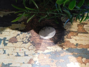 JEWELRY SALE! ROCK STONE LAPIDARY SPECIMEN