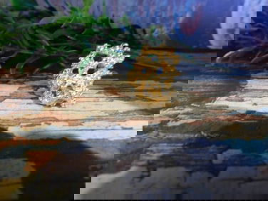 JEWELRY SALE! ROCK STONE LAPIDARY SPECIMEN