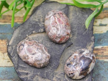 JEWELRY SALE! ROCK STONE LAPIDARY SPECIMEN