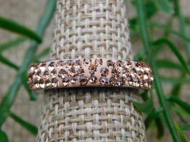 RING ROCK STONE LAPIDARY SPECIMEN