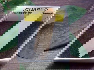 QUARTZ ROCK STONE LAPIDARY SPECIMEN