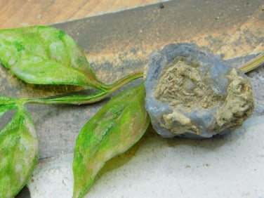 ELLENSBURG AGATE ROCK STONE LAPIDARY SPECIMEN