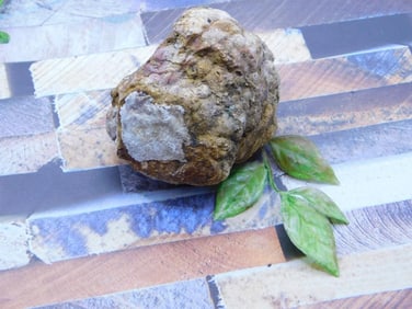 ROCK STONE LAPIDARY SPECIMEN