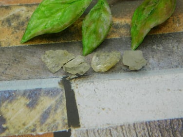 HERKIMER DIAMOND ROCK STONE LAPIDARY SPECIMEN