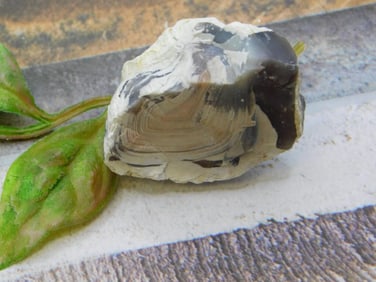 AGATE ROCK STONE LAPIDARY SPECIMEN