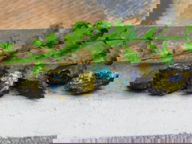 PEACOCK ORE ROCK STONE LAPIDARY SPECIMEN