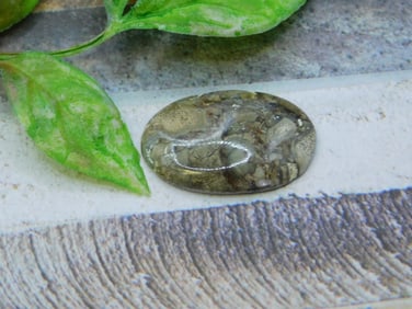 CABOCHON ROCK STONE LAPIDARY SPECIMEN