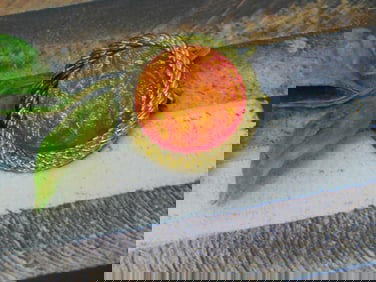 BROOCH ROCK STONE LAPIDARY SPECIMEN