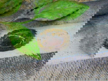 CABOCHON ROCK STONE LAPIDARY SPECIMEN