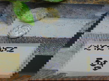 CABOCHON ROCK STONE LAPIDARY SPECIMEN