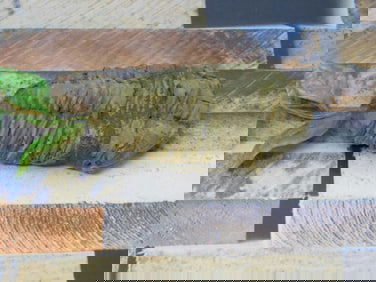 TRILOBITE ROCK STONE LAPIDARY SPECIMEN