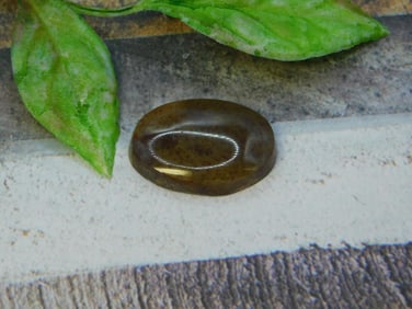 CABOCHON ROCK STONE LAPIDARY SPECIMEN