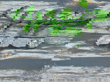 HERKIMER DIAMOND ROCK STONE LAPIDARY SPECIMEN