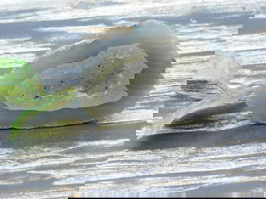 GEODE ROCK STONE LAPIDARY SPECIMEN