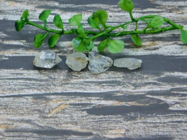 HERKIMER DIAMOND ROCK STONE LAPIDARY SPECIMEN