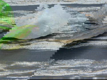 QUARTZ ROCK STONE LAPIDARY SPECIMEN