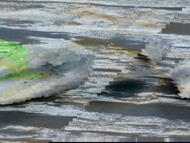 GEODE ROCK STONE LAPIDARY SPECIMEN