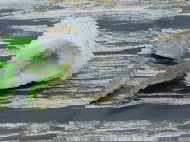 GEODE ROCK STONE LAPIDARY SPECIMEN