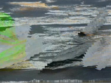 QUARTZ ROCK STONE LAPIDARY SPECIMEN