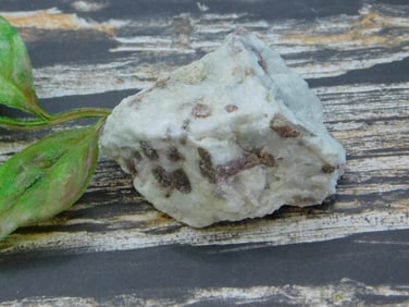 ROCK STONE LAPIDARY SPECIMEN