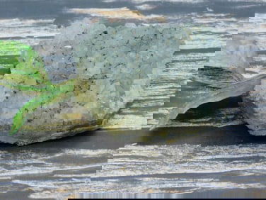 ROCK STONE LAPIDARY SPECIMEN