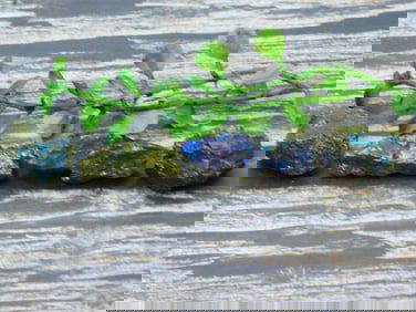 PEACOCK ORE ROCK STONE LAPIDARY SPECIMEN