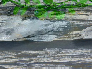 QUARTZ ROCK STONE LAPIDARY SPECIMEN