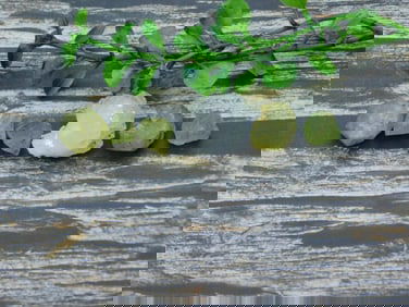 MIXED LOT ROCK STONE LAPIDARY SPECIMEN