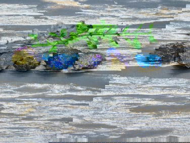 PEACOCK ORE ROCK STONE LAPIDARY SPECIMEN