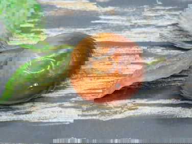 CARNELIAN ROCK STONE LAPIDARY SPECIMEN