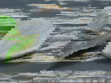 ROCK STONE LAPIDARY SPECIMEN