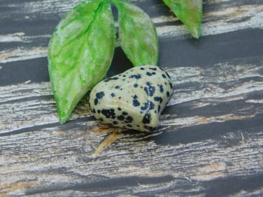 STONE HEART ROCK STONE LAPIDARY SPECIMEN
