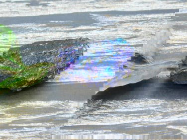 PEACOCK ORE ROCK STONE LAPIDARY SPECIMEN